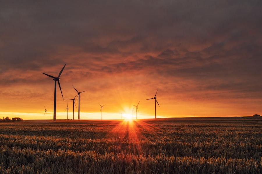 Clean energy wind turbines representing sustainability consulting